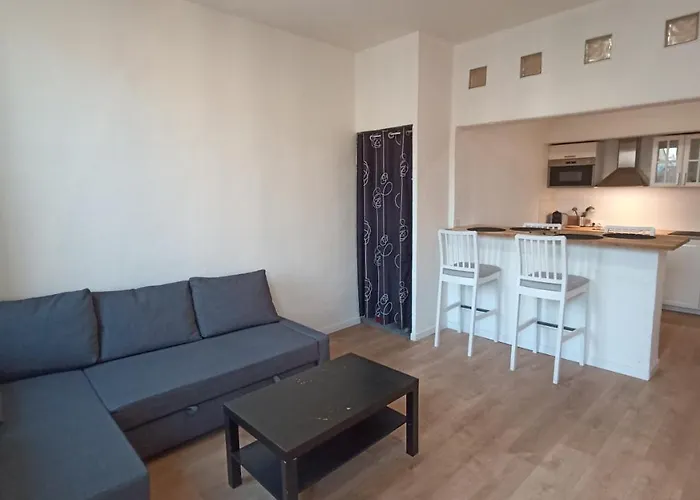 Studio Neuf Climatise Centre Ville #7